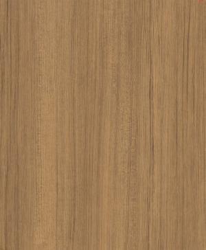 Boiserie e decorazioni murali.